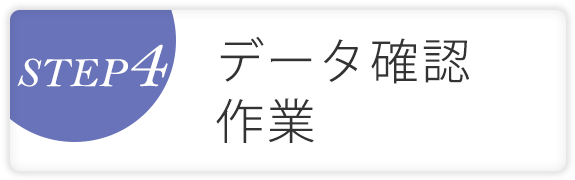 STEP4 データ確認・作業